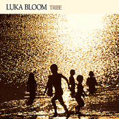 Peace Rains by Luka Bloom