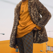 Ehiorobo: junglecat/firebyrd