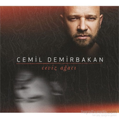 Ceviz Ağacı