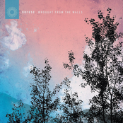 Wrought from the Walls - EP