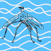 Essa Pessoa Esquisita