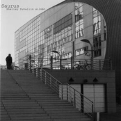 Shelley Duvallin silmät