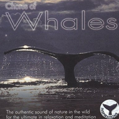 Chorus Of Whales