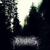 Collapsing Into Oblivion