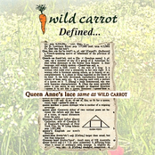 Wild Carrot: Defined