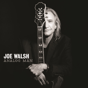 Analog Man by Joe Walsh