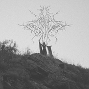 Ой, не кукушечка