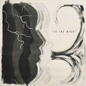 In the Wind (feat. the Alchemist) - Single