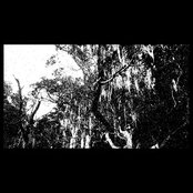 crujir, torcer, aplastar