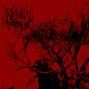 Ultraviolent Fragments Of Self