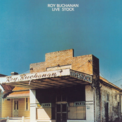 Can I Change My Mind by Roy Buchanan