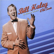 Goofin' Around by Bill Haley & His Comets