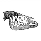 HORSEBASTARD / RETORTION TERROR Split