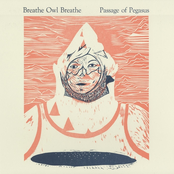 Vision Quest by Breathe Owl Breathe