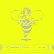 Tallarita
