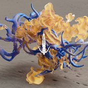 Fideles: Night After Night