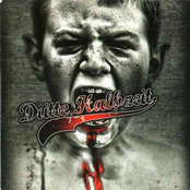 Zum Spiel oder in den Knast