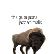 Jazz Animalis