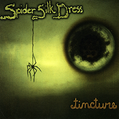 Be Careful by Spider Silk Dress