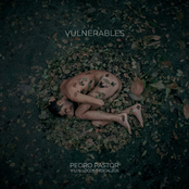 Vulnerables