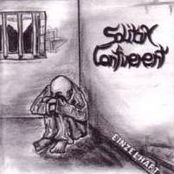 Cry Out by Solitary Confinement