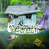 Psychotropic Swamp