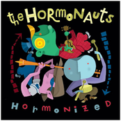 A Bundle Of Fun by The Hormonauts