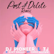 Post & Delete (REMIX)