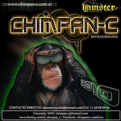 chimpan-c