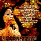 Shitnoise Compilation