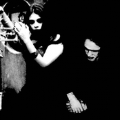 Sæpe et libenter nos ambulamos in umbra silvarum...