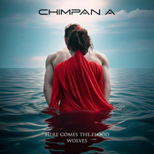 Here Comes The Flood