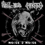 Noise 2 Noise - SPLIT w/ CHIKARA