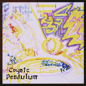 coyote pendulum