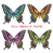 Fly