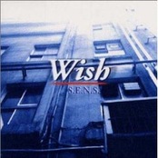 Wish To Wish by S.e.n.s.