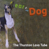 The Year of the Dog