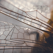 Cvrsed Imvges - Single