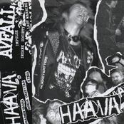 Total Destrucktion (Split)