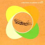 Collections of Colonies of Bees: toe // collections of colonies of bees