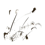 A Perception Of Matter And Ene