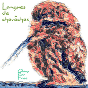 Langues de chevêches