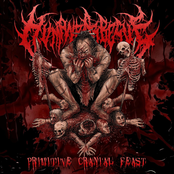 Primitive Cranial Feast
