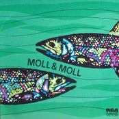 Moll & Moll