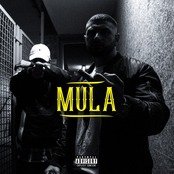 Mula