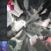 Destellos de Otro Lugar