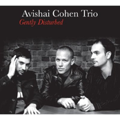 Avishai Cohen Trio: Gently Disturbed (Bonus Track Version)