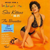 Music for a Bachelor's Den, Volume 8: Sex Kittens in Hi-Fi, the Brunettes