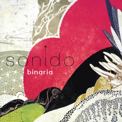 Entrada De Sonido by Binaria