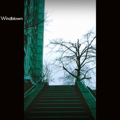 Windblown
